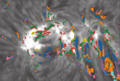 ESPN-6: Classification of high-resolution Halpha spectra using t-distributed Stochastic Neighbor Embedding